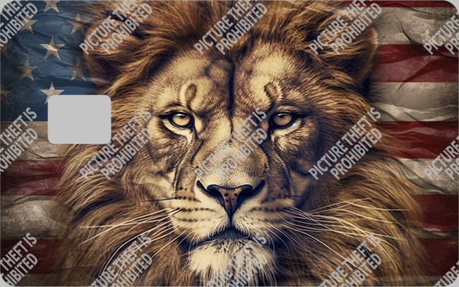 Bank  Card Sticker-BC-1531